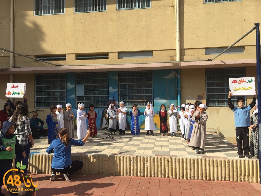 zhra2 ibtidiya2a (10).JPG